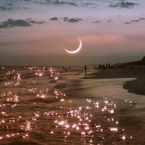 [ shvde - essentials vol. 1 ]