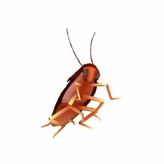 Dancing cockroach meme