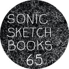 65 SONIC SKETCHBOOKS - darkness