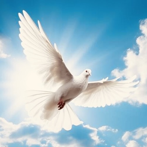 Andrea Gambardelli - Infinite flight