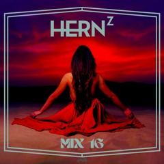 Hernz Mix 16