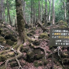 （长林，2003年6月29日）