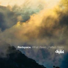 Redspace - What I Need (Original Mix) Stripped Digital