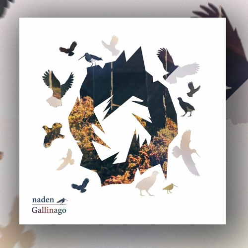 Naden - Gallinago (Album DJ Mix)
