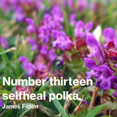Number thirteen selfheal polka