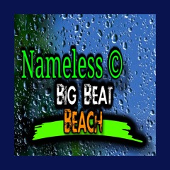Nameless © - Big Beat Beach Music