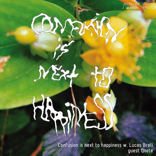 Confusion is next to happiness w. Lucas Brell guest qnete [27.07.2022]