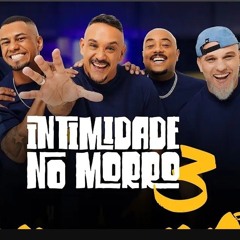 Grupo Intimistas, Pagode do Adame, Grupo Bom Gosto, Milthinho - Intimidade no Morro 3 I COMPLETO.mp3