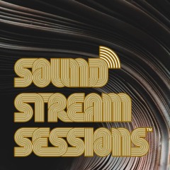 Guest Mix Vol. 53 (Mike Presley - Mathematix) Live Breakbeat Session