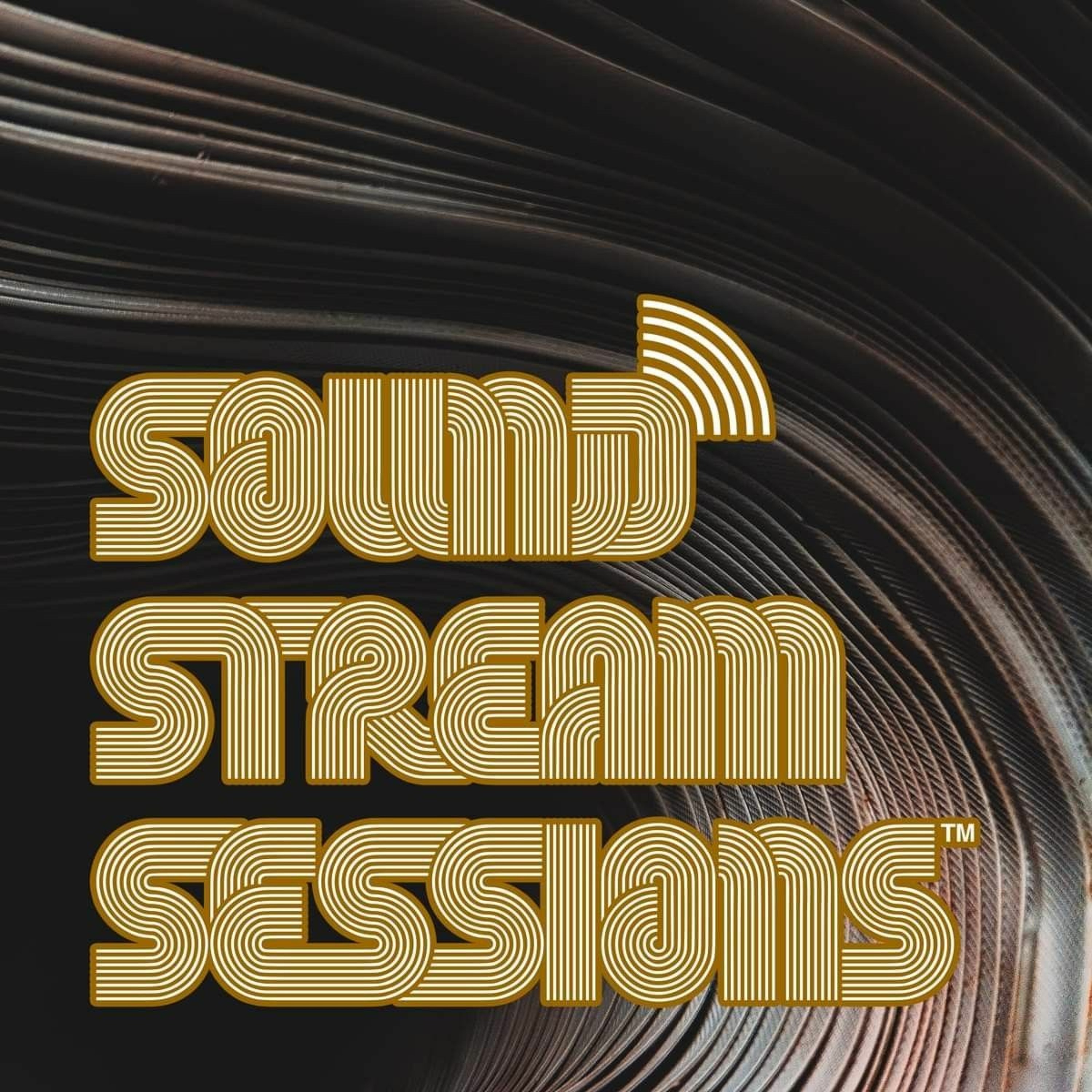 Guest Mix Vol. 53 (Mike Presley - Mathematix) Live Breakbeat Session episode artwork