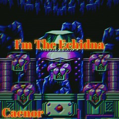 I'm the Echidna (TFE Knuckles Theme)
