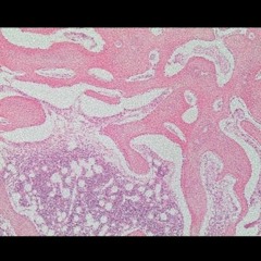 Pink Lucilfer Couldn’t be Tamed (prod.ayazra) *OMAYEH EXCLUSIVE*:･ﾟ✧*