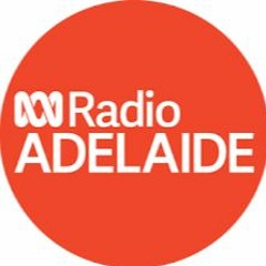 ABC Radio Adelaide 6th May 2021 - Phil Palmer / Rob Lucas - Mediation Outcome