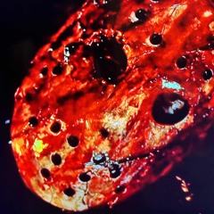 TWOTENVIC X YVXGREMAINS - SO NO HEAD