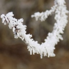 December