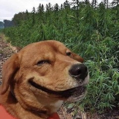 mlody mvks (feat. mlodygonti) -  budzik (freestyle).mp3