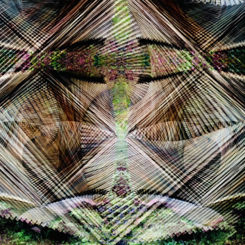 Forestset001