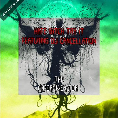 DF - Hate Bitch Try It Feat. DJ Cancellation - The Unforgivenator