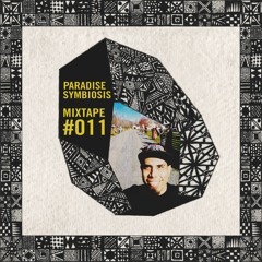 Risa - Traveling from my 20's to my 40's - Mixtape 11 for Paradise Symbiosis