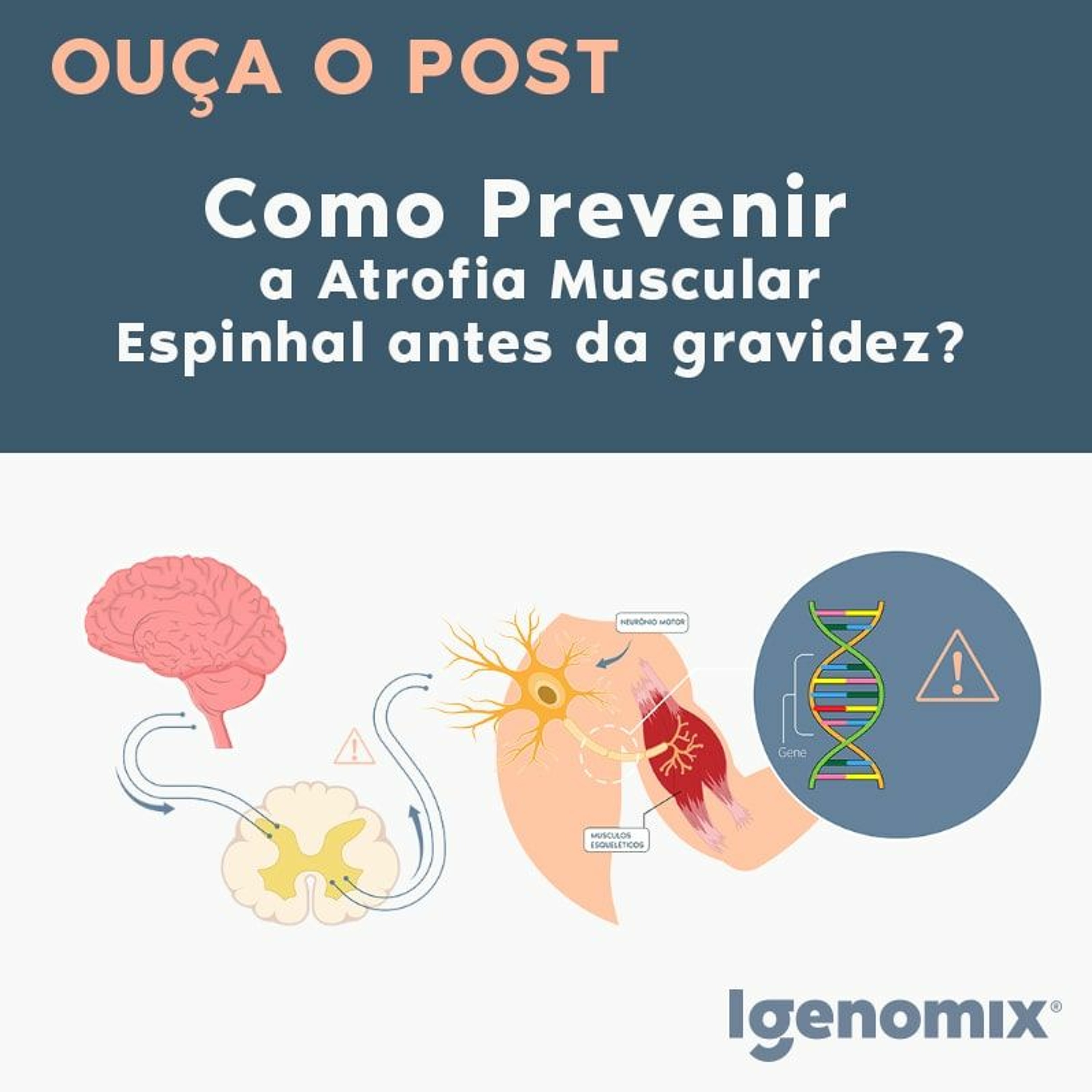 Igenomix Brasil