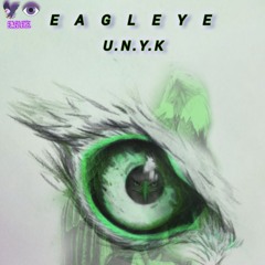 EAGLEYE