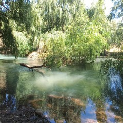 nct dream - boom (sped up)