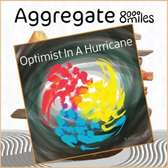 An Optimist In A Hurricane