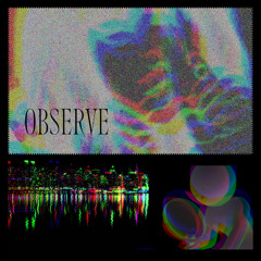 OBSERVE (FREE DOWNLOAD)