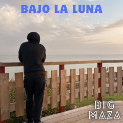 Bajo la luna
