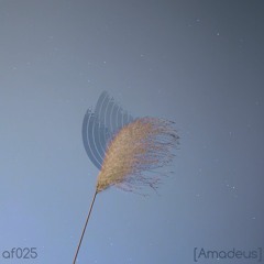 AF025 Amadeus