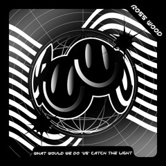 'What Would We Do' vs 'Catch The Light' (RW Speed Garage Edit) Free DL