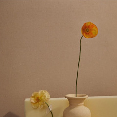 almost is never enough - ariana grande feat nathan sykes (cover)