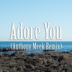 Adore You (Anthony Meek Remix)
