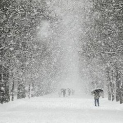 It's Still Snowing