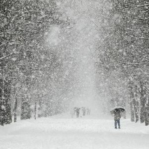 It's Still Snowing