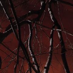 crimson [throwaway]