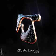 Sub Focus, Fireboy DML, IRAH - Original Don (Ric de Large Remix)