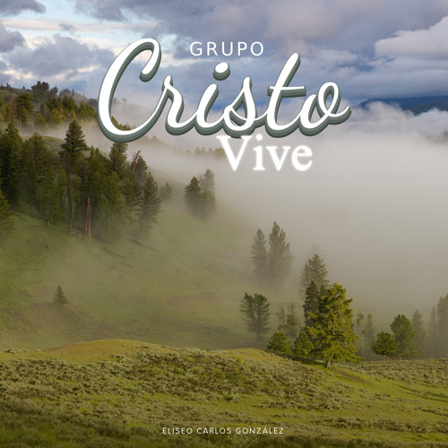 Stream Gracias, Señor by Grupo Cristo Vive | Listen online for free on ...
