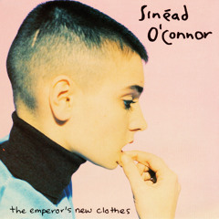 The Emperor's New Clothes (Hank Shocklee Mix)