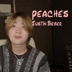 peaches(Justin Bieber) cover & remix