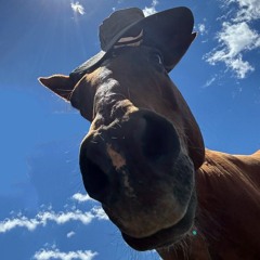 HNNH - get FUNKED @ Funk Your Burn 2024