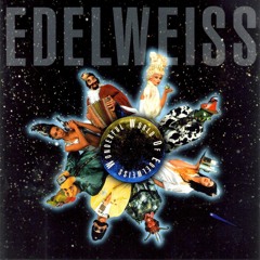 Starship (Raumschiff) Edelweiss
