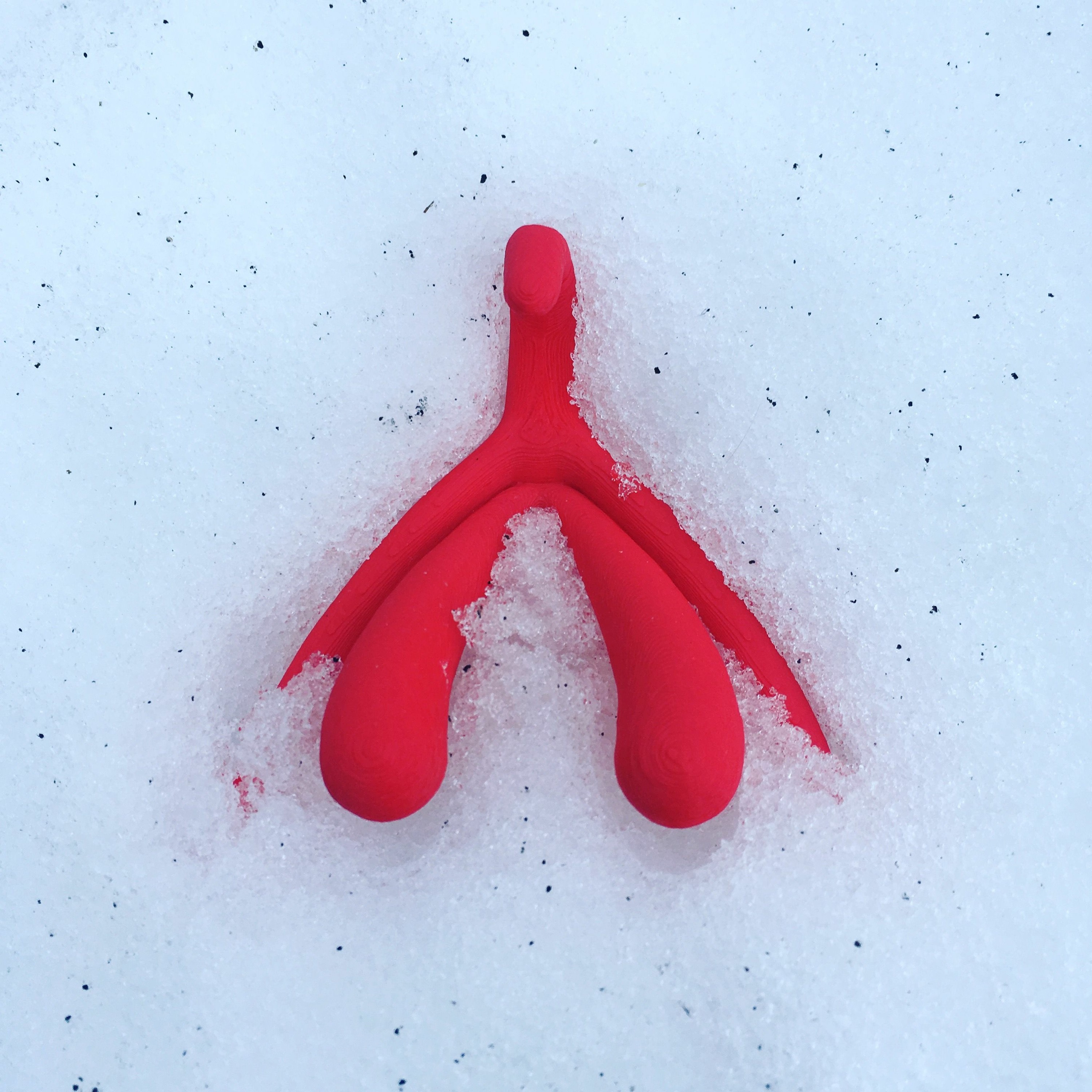 Sigga Dögg sexologist