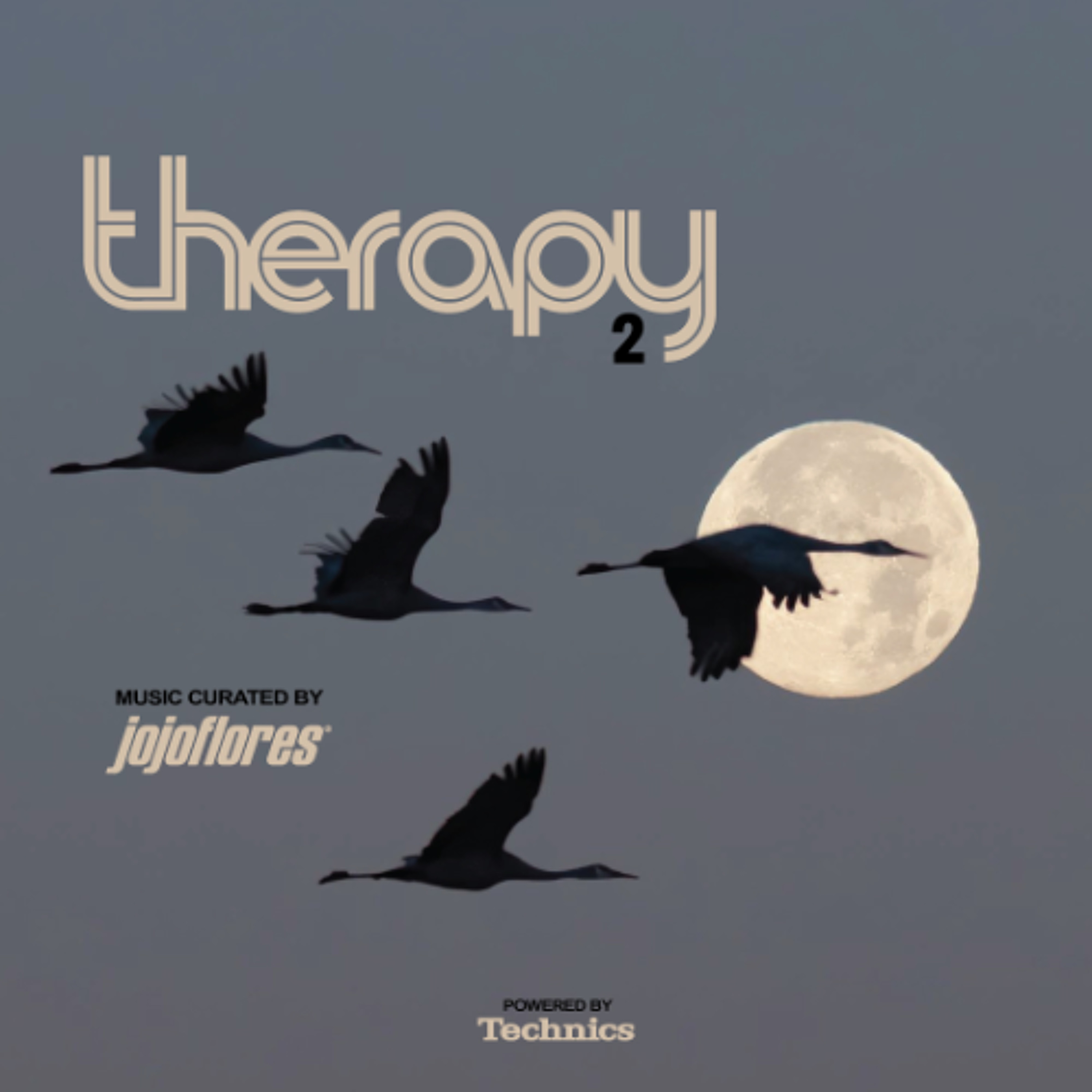 Therapy 2 episode artwork