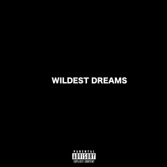 Wildest Dreams (Prod.TORYONTHEBEAT)