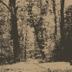Lost In Ether | P R E M I E R E | Silhouette - Calvary (Inception) [DOLEC]