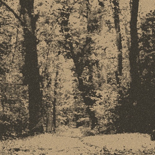Lost In Ether | P R E M I E R E | Silhouette - Calvary (Inception) [DOLEC]