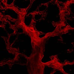 BloodShed (Clip)