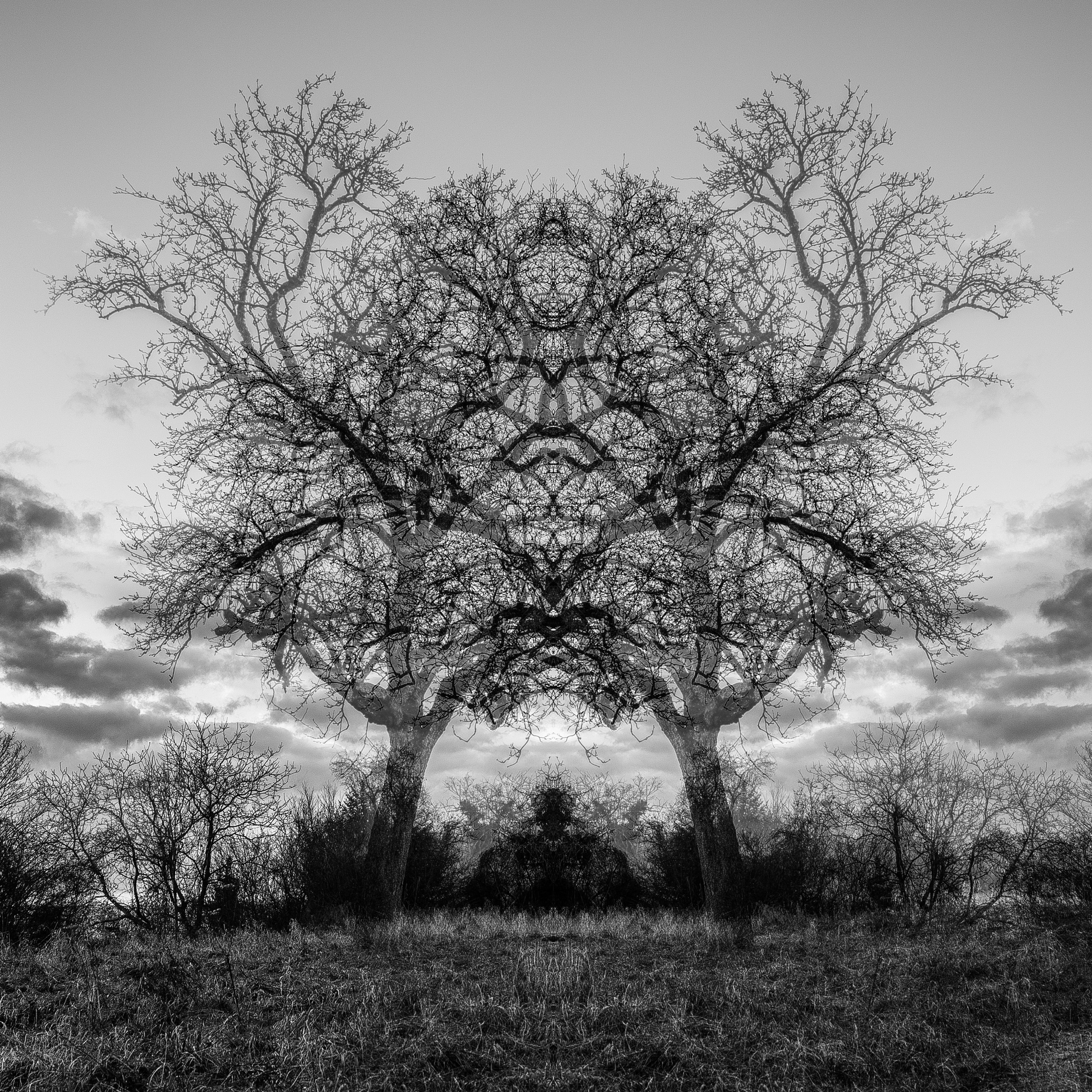 Introsound episode artwork