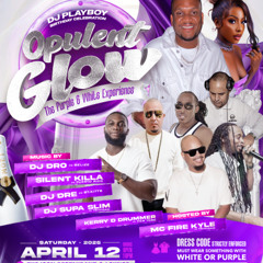 DJ PLAYBOY - OPULENT GLOW - DANCEHALL BDAY PARTY MIX 2025